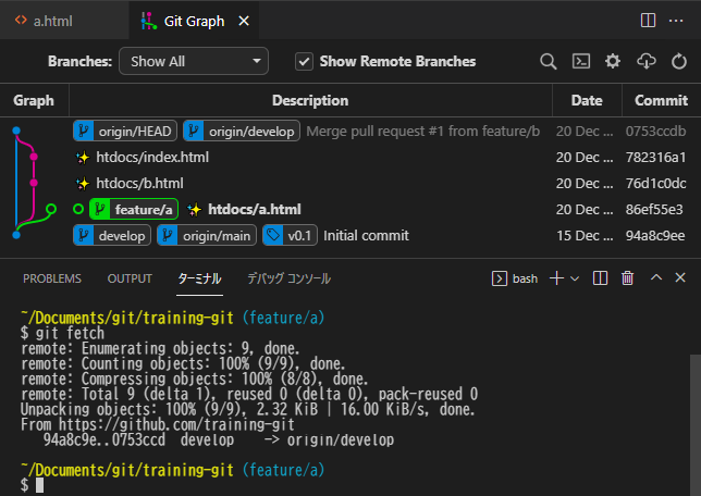 git_fetch_git_graph