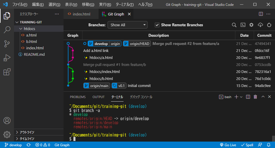vscode_develop